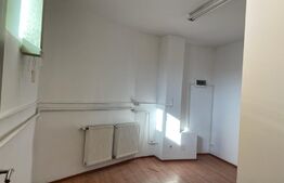 Casa cu 10 camere, 300mp, Centru