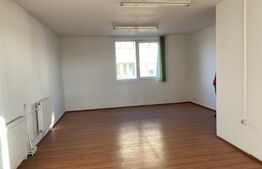 Casa cu 10 camere, 300mp, Centru