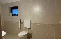 Casa cu 3 camere, 150 mp, Corunca