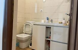 Casa cu 12 camere, 350 mp, 7 Noiembrie