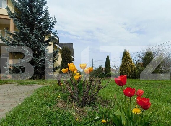 Casa de vânzare 5 camere Sângeorgiu de Mureș - 132166CV | BLITZ Târgu Mureș | Poza9