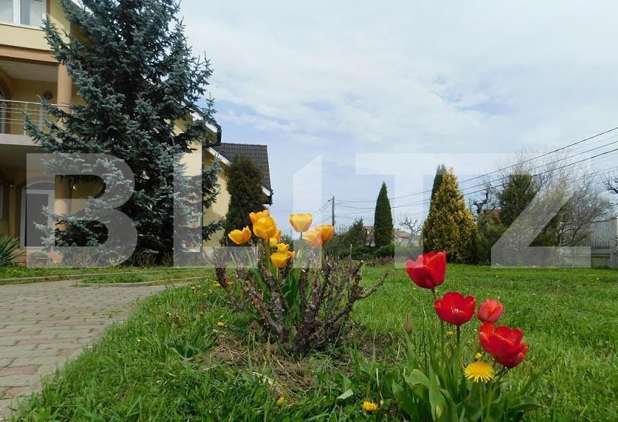 Casa de vânzare 5 camere Sângeorgiu de Mureș - 132166CV | BLITZ Târgu Mureș | Poza9