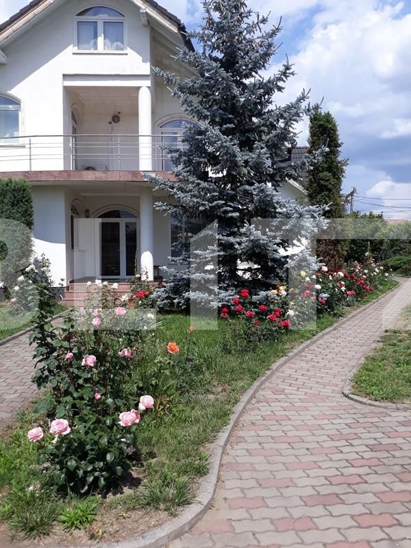 Casa de vânzare 5 camere Sângeorgiu de Mureș - 132166CV | BLITZ Târgu Mureș | Poza14