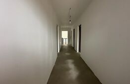 Casa cu 3 camere, 500 mp, zona Corunca