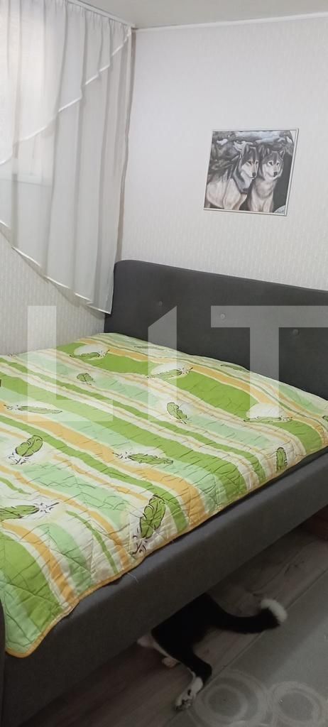 Casa de vânzare 3 camere Sângeorgiu de Mureș - 132575CV | BLITZ Târgu Mureș | Poza12