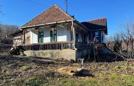 Casa cu 3 camere, 112 mp, sat Milăsel