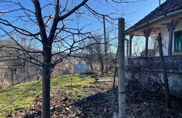 Casa cu 3 camere, 112 mp, sat Milăsel