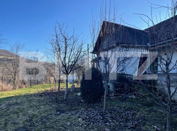 Casa de vânzare 3 camere Exterior Vest - 132584CV | BLITZ Târgu Mureș | Poza10