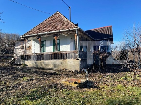 Casa de vânzare 3 camere Exterior Vest - 132584CV | BLITZ Târgu Mureș | Poza1