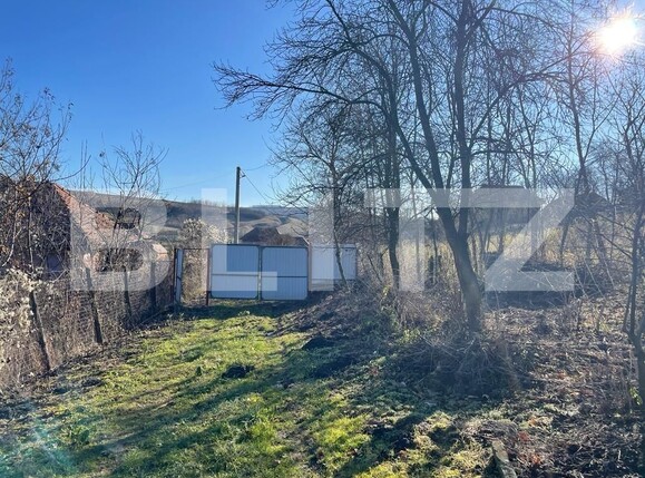 Casa de vânzare 3 camere Exterior Vest - 132584CV | BLITZ Târgu Mureș | Poza13