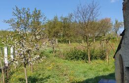 Casa individuala, 222mp utili, 3200mp teren, Raciu