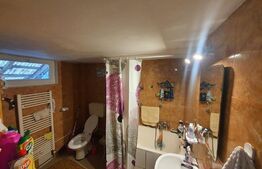 Casa individuala, 222mp utili, 3200mp teren, Raciu