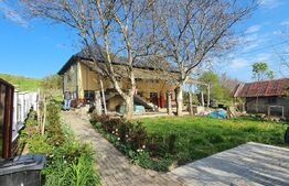 Casa individuala, 222mp utili, 3200mp teren, Raciu