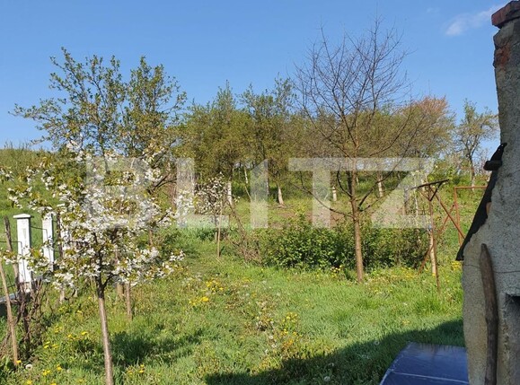 Casa de vânzare 5 camere Exterior Sud - 132772CV | BLITZ Târgu Mureș | Poza10