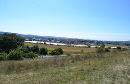 Teren Intravilan, 1000 mp, Curteni