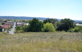 Teren Intravilan, 1000 mp, Curteni