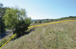 Teren Intravilan, 1000 mp, Curteni