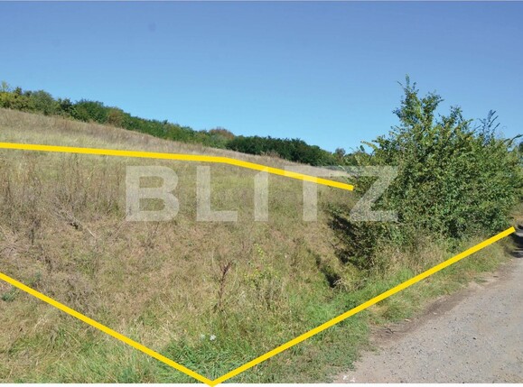 Teren de vânzare Curteni - 133013TV | BLITZ Târgu Mureș | Poza7