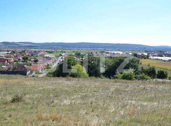 Teren de vânzare Curteni - 133013TV | BLITZ Târgu Mureș | Poza3