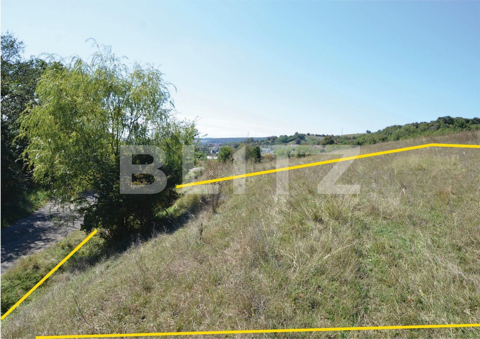 Teren de vânzare Curteni - 133013TV | BLITZ Târgu Mureș | Poza5