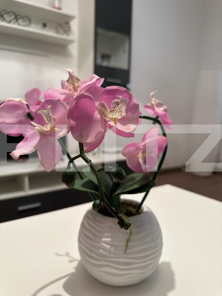 Apartament de închiriat 2 camere Semicentral - 133088AI | BLITZ Târgu Mureș | Poza4