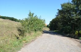 Teren intravilan, 1000 mp,  Curteni