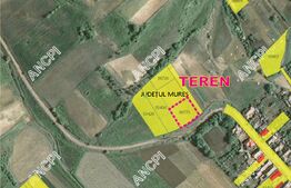 Teren intravilan, 1000 mp,  Curteni