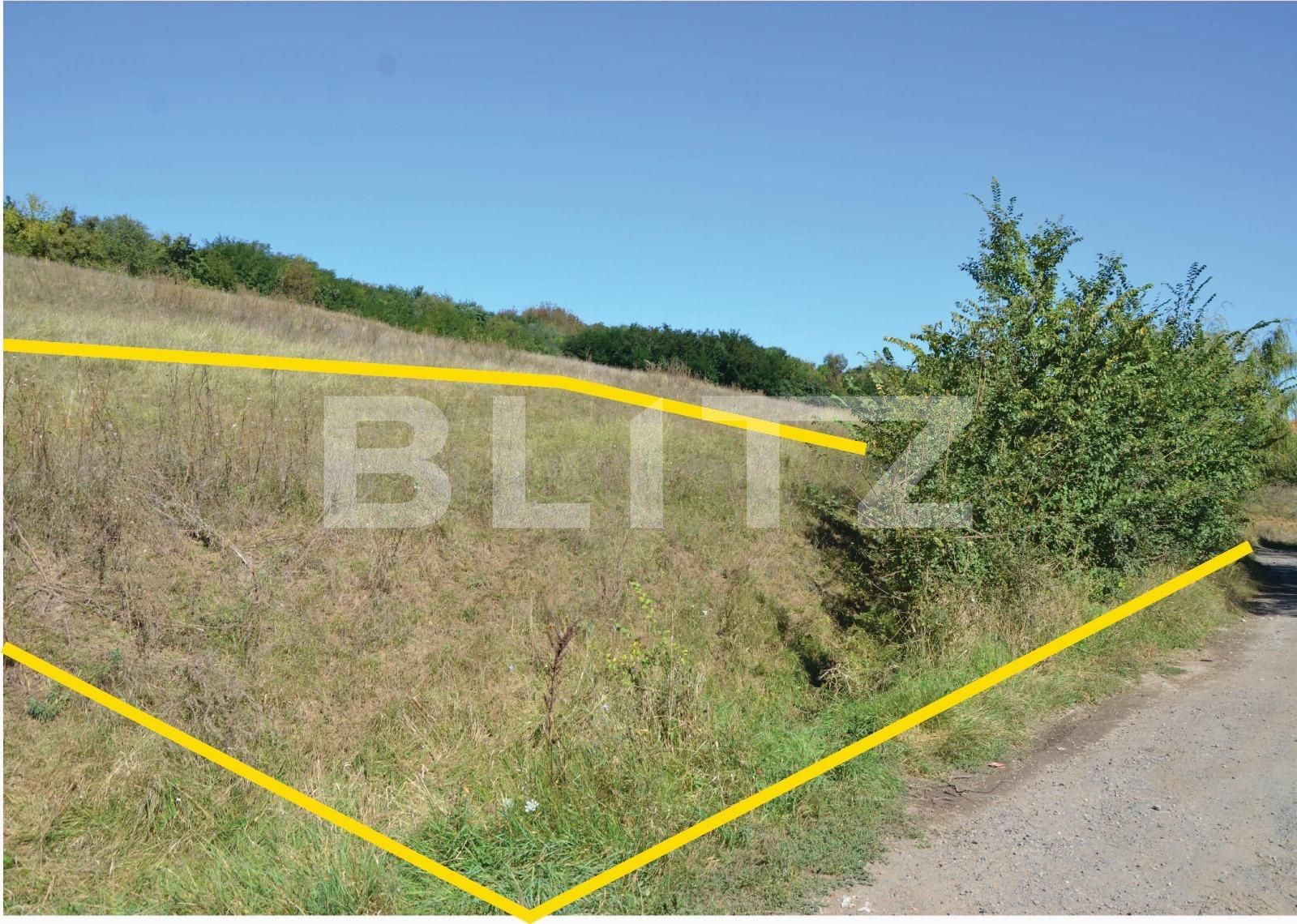 Teren de vânzare Curteni - 133202TV | BLITZ Târgu Mureș | Poza4