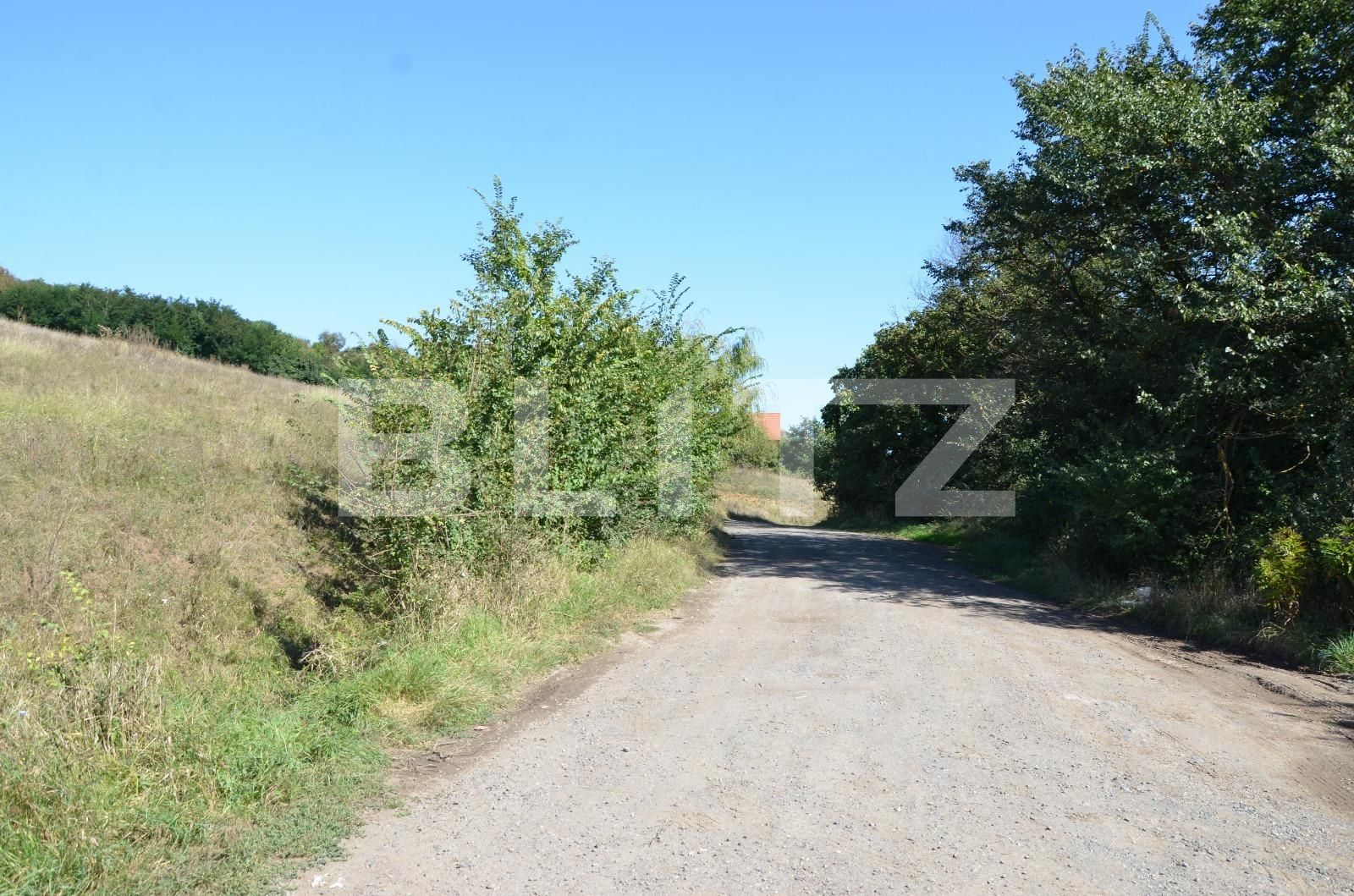 Teren de vânzare Curteni - 133202TV | BLITZ Târgu Mureș | Poza7