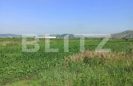 Teren intravilan 3036 mp, Parc industrial Ungheni