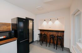 Casa multifunctionala, 320mp, Cristesti