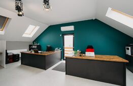 Casa multifunctionala, 320mp, Cristesti