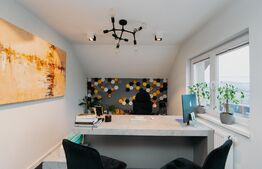 Casa multifunctionala, 320mp, Cristesti