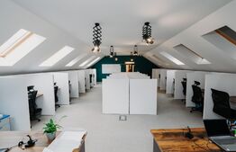 Casa multifunctionala, 320mp, Cristesti