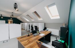 Casa multifunctionala, 320mp, Cristesti