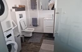 Apartament 2 camere, 70mp, pet friendly, Green Residence 