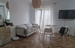 Apartament cu o camera, 50mp, zona Unirii