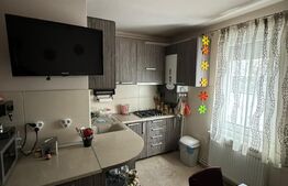 Apartament 2 camere, etaj 1, 54mp, Tudor 