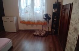 Casa 5 camere,220 mp utili,870 mp teren in  Santana de Mures