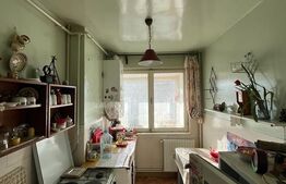 Apartament cu 2 camere, decomandat , 48,28 mp Aleea Carpați