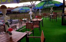 Complex wellness si pensiune, 9 camere, 836mp, Sovata