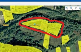Teren extravilan, 12500mp, zona Gurghiu