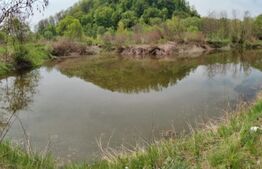 Teren extravilan, 12500mp, zona Gurghiu