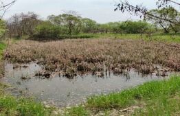 Teren extravilan, 12500mp, zona Gurghiu