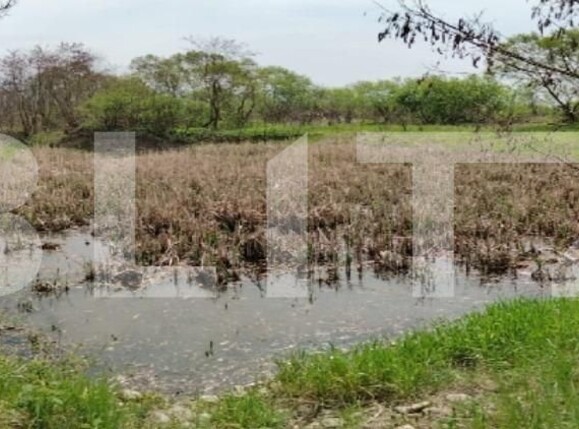 Teren de vânzare Exterior Est - 135059TV | BLITZ Târgu Mureș | Poza3