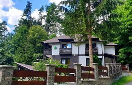 Vila deosebita cu 6 camere, 530mp, Statiunea Sovata