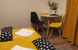 Vila deosebita cu 6 camere, 530mp, Statiunea Sovata