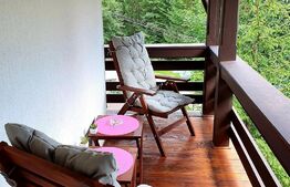 Vila deosebita cu 6 camere, 530mp, Statiunea Sovata