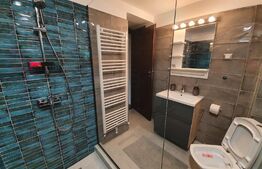 Vila deosebita cu 6 camere, 530mp, Statiunea Sovata