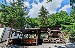 Vila deosebita cu 6 camere, 530mp, Statiunea Sovata